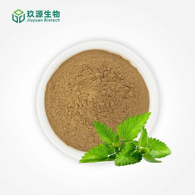 Peppermint Extract Powder manufacturers