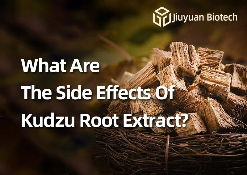 What Are The Side Effects Of Kudzu Root Extract? What Are The Side Effects Of Kudzu Root Extract?