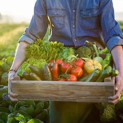 نامیاتی پلانٹ کا نچوڑ