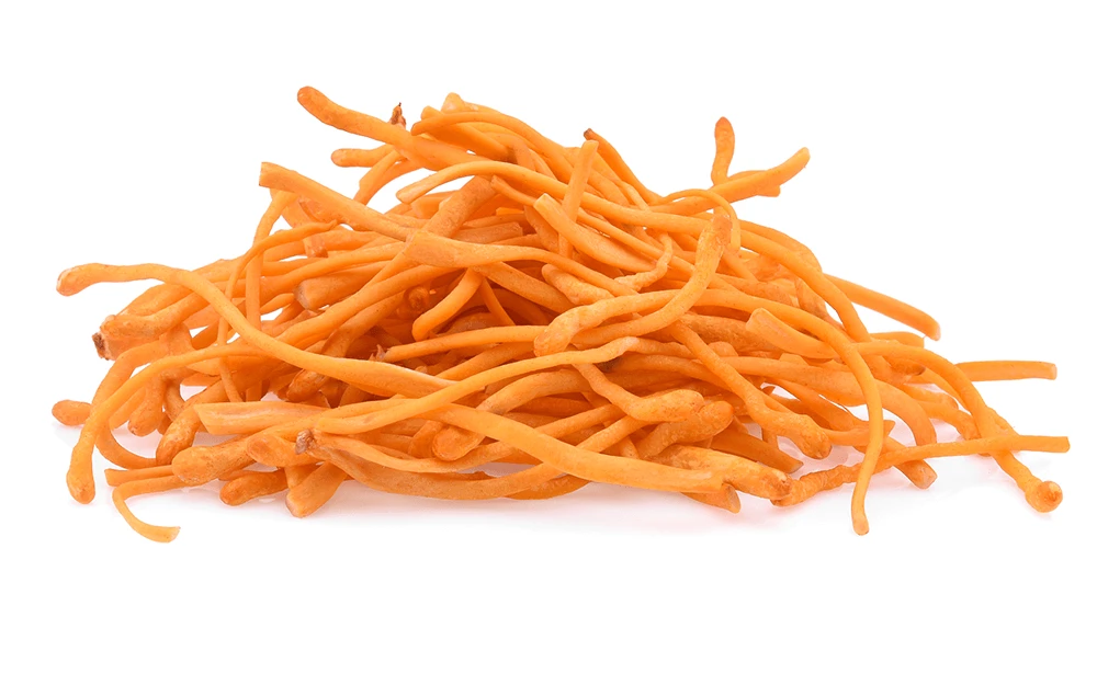 CERTIFIED Organic Cordyceps Militaris Powder CERTIFIED Organic Cordyceps Militaris Powder